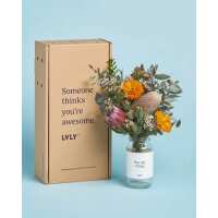Read LVLY Reviews